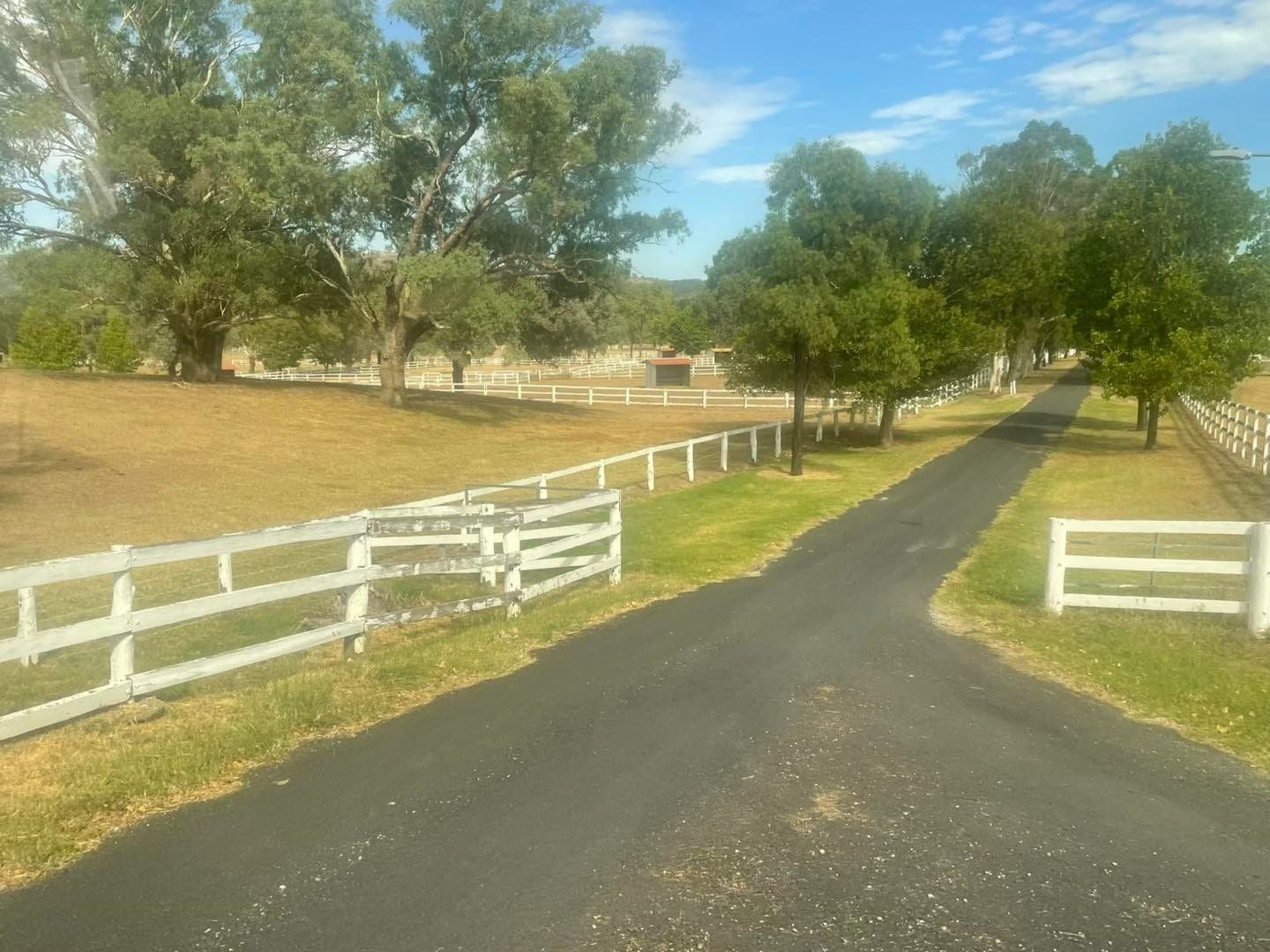 Dubbo Zoo 2025 Image -67de048f0db90